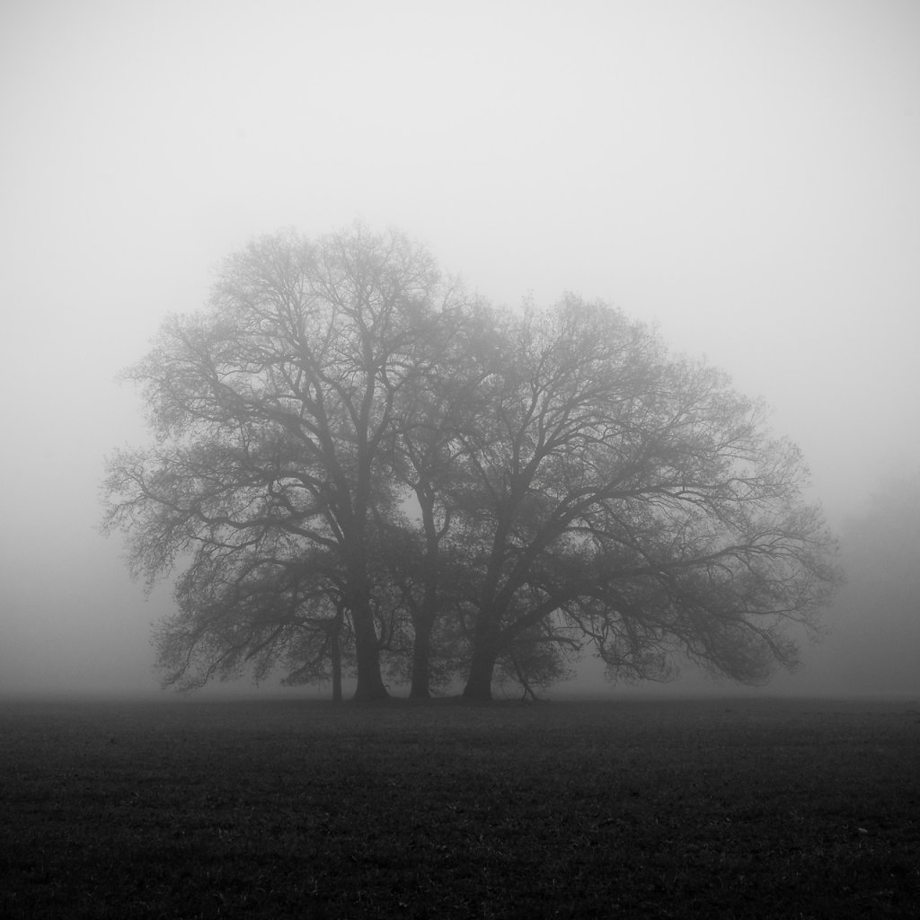 nebel-12.jpg